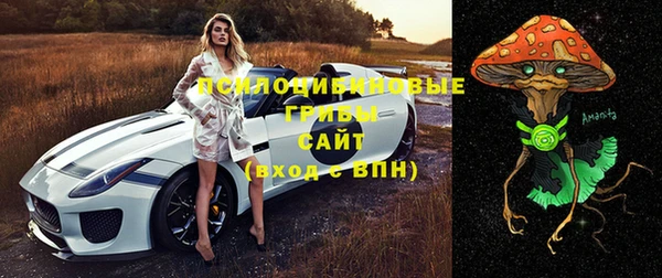 герыч Алзамай